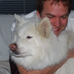 Meet your Posher, Greg